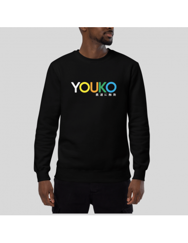 SWEAT-SHIRT HOMME - YOUKO COLORE pas cher chine