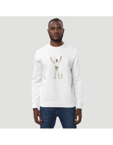 SWEAT-SHIRT HOMME - DAVID d'Europe débarque