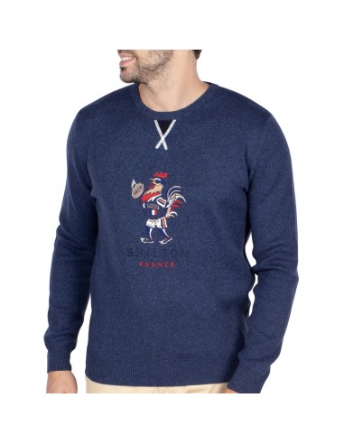 Pull rugby France brillant des détails fins